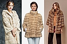 Изделия из куницы